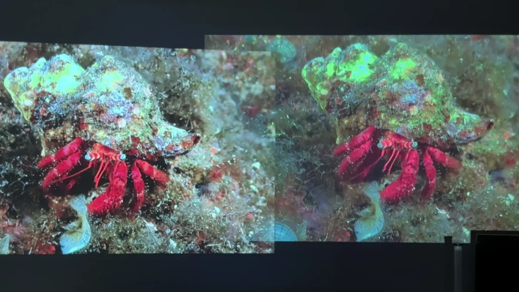 Xgody N6 Pro vs Magcubic XY350 MAX